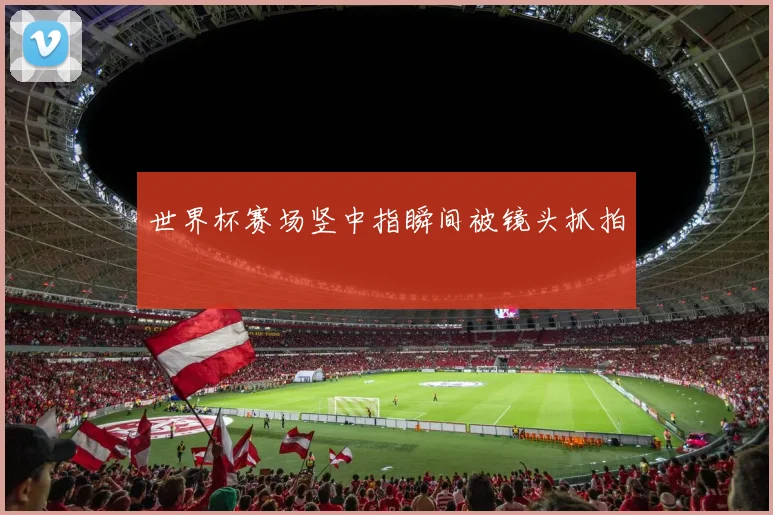 世界杯赛场竖中指瞬间被镜头抓拍