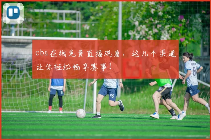 cba在线免费直播观看,这几个渠道让你轻松畅享赛事!