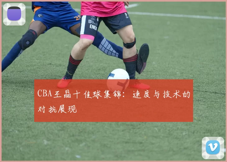 CBA王晶十佳球集锦：速度与技术的对抗展现